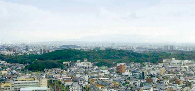 堺市役所展望台